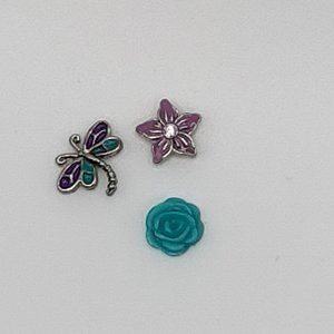 Origami Owl Dragonfly Charm Set